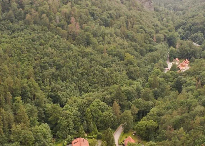 Prázdninový dům Ferienhaeuser Am Brocken, 60 Qm 2 Schlafzimmer Ilsenburg